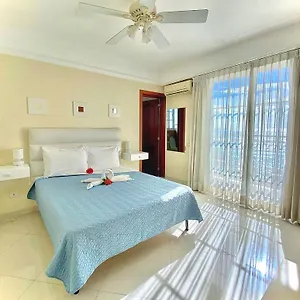 Shakey Santo Domingo